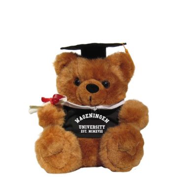 Teddybeer Graduation Wageningen University Medium
